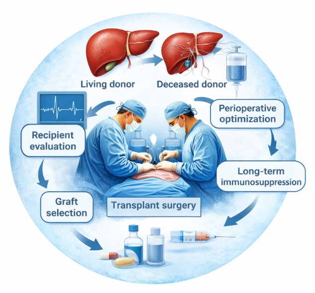 All Types of Liver Transplantation (Living & Deceased Donor)